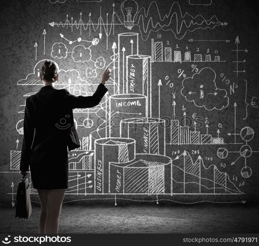 Business strategy. Rear view of businesswoman looking at business sketches on wall