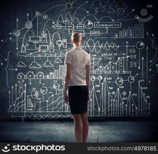 Business strategy. Rear view of businesswoman looking at business sketches on wall