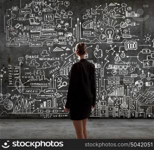 Business strategy. Rear view of businesswoman looking at business sketches on wall
