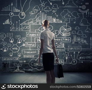 Business strategy. Rear view of businesswoman looking at business sketches on wall