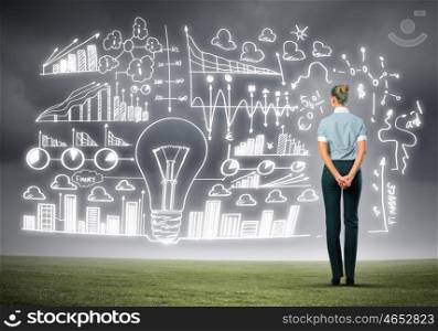 Business woman and business project. Back view image of businesswoman standing against business sketch