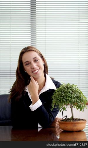 business woman in an office with a bonsai tree