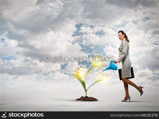 Business woman watering monet tree. Image of business woman watering money tree. Currency concept