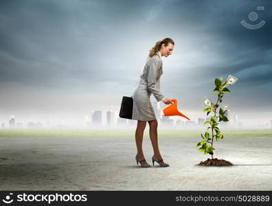 Business woman watering monet tree. Image of business woman watering money tree. Currency concept