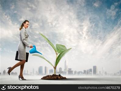 Business woman watering sprout. Image of business woman watering sprout. Ecology concept