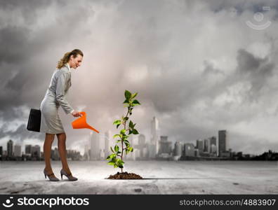 Business woman watering sprout. Image of business woman watering sprout. Ecology concept