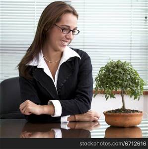 business woman with a bonsai tree in an office