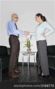 Businessman and a businesswoman shaking their hands