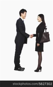 Businessman and businesswomen shaking hands