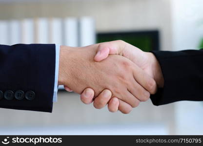 Businessman and woman handshake at office, business cooperation, success in business concept