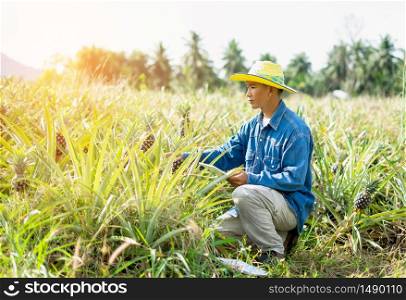 Businessman farmer holding tablet for checking in pineapple field. Smart farmer concept use technology internet and information forDecision.