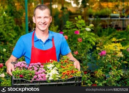Businessman gardener with grown flowers in a greenhouse