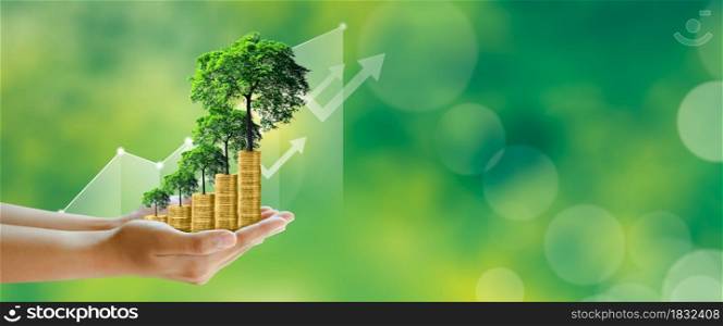 Businessman hand holding step of coins stacks with tree growing on top in nature green background. Money saving, investment, family planning, money growth, business success Concept.