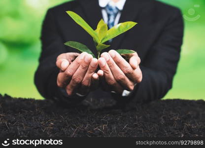 Businessman hold young seedling on fertile soil for eco forest regeneration. Eco Corporate policy for environmental awareness and sustainable future, saving planet by reducing carbon footprint. Alter. Businessman hold young seedling on fertile soil for forest regeneration. Alter