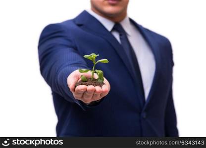 Businessman holding green sprouts isolated on white