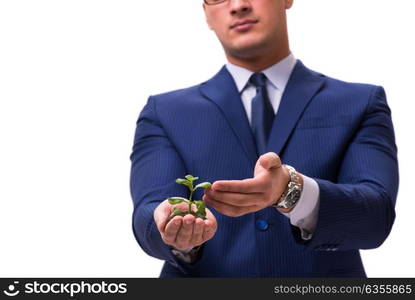 Businessman holding green sprouts isolated on white