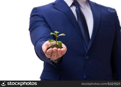 Businessman holding green sprouts isolated on white. The businessman holding green sprouts isolated on white