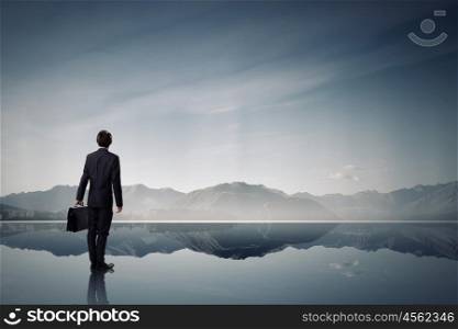 Businessman in isolation. Rear view of businessman looking at picturesque nature landscape