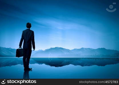 Businessman in isolation. Rear view of businessman looking at picturesque nature landscape