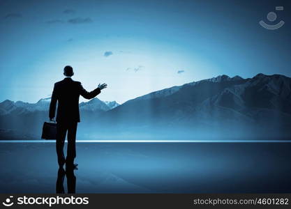 Businessman in isolation. Rear view of businessman looking at picturesque nature landscape