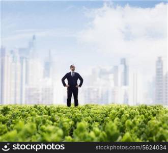 Businessman in sunglasses and hands on hips standing in a green field with city skyline in the background