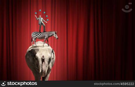 Businessman juggling with balls. Young businessman in cap standing on animals and juggling with balls
