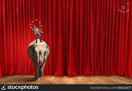 Businessman juggling with balls. Young businessman in cap standing on elephant and juggling with balls