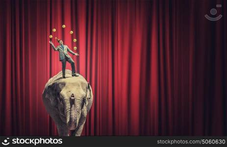 Businessman juggling with balls. Young businessman in cap standing on elephant and juggling with balls