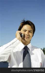 Businessman making a phone call