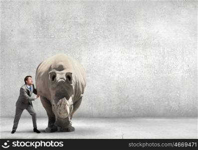 Businessman making effort to move big rhino. Overcoming difficulties