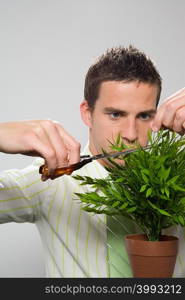 Businessman pruning plant