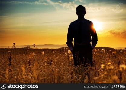 Businessman silhouette among the golden corn
