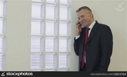 Businessman smiling and talking on the telephone in office
