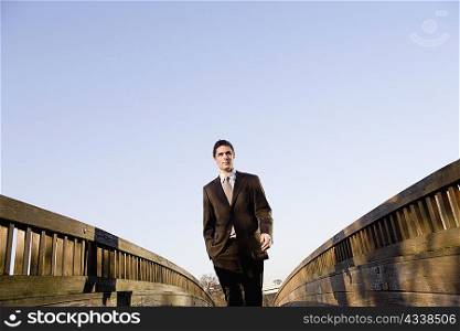 Businessman standing on wooden walkway