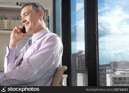 Businessman Talking on a Cell Phone