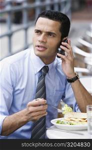 Businessman talking on a mobile phone during lunch