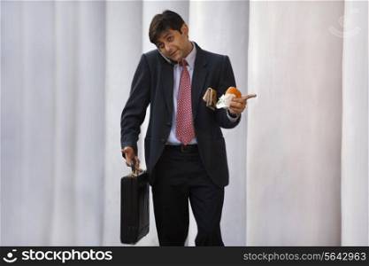 Businessman talking on the mobile phone