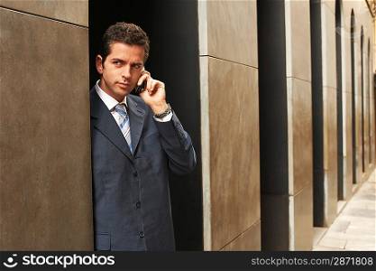Businessman Telephoning