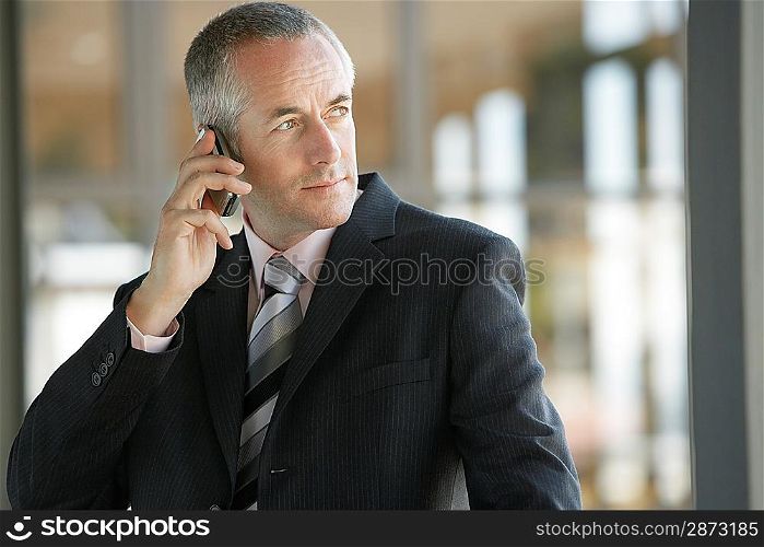 Businessman Using mobile phone.