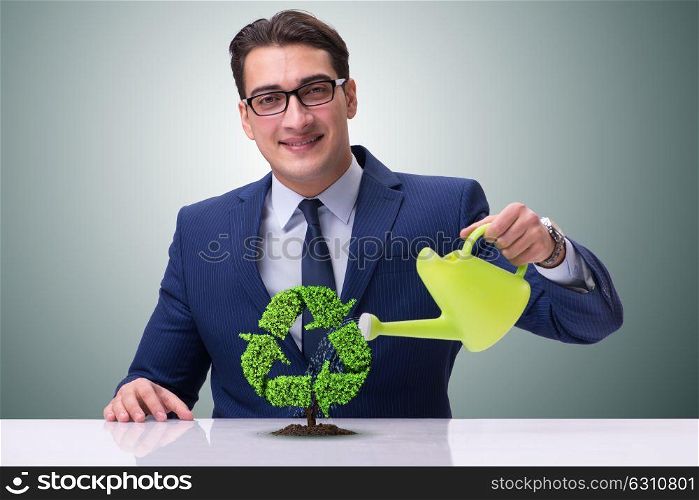 Businessman watering plan in recycling concept