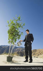 Businessman Watering Tree in the Desert