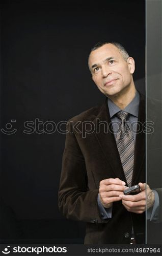Businessman with handheld computer