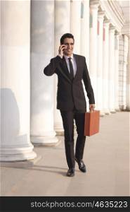 Businessman with suitcase talking on a mobile phone , INDIA , DELHI