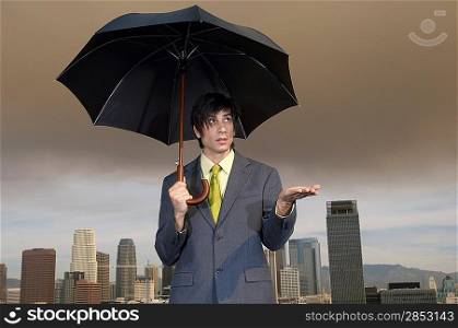 Businessman with Umbrella