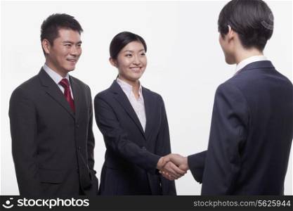 Businesspeople Meeting and Shaking Hands