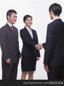 Businesspeople Meeting and Shaking Hands