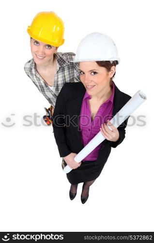 businesswoman and craftswoman posing together