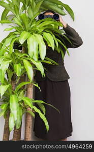 Businesswoman hiding behind plant with binoculars