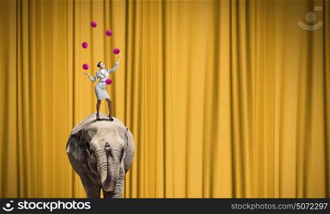 Businesswoman juggling with balls. Young businesswoman standing on elephant and juggling with balls