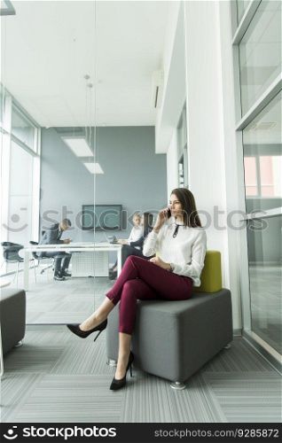 Businesswoman on the phone in the office